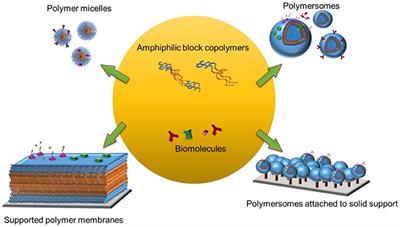 Biomolecules Turn Self-Assembling Amphiphilic Block Co-polymer Platforms Into Biomimetic Interfaces